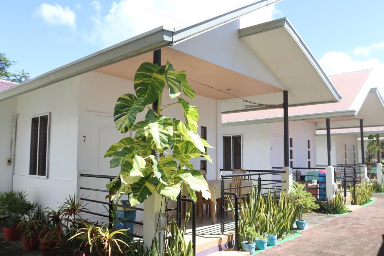 Ice Bear Bar & Tourist Inn Dauis Exterior photo
