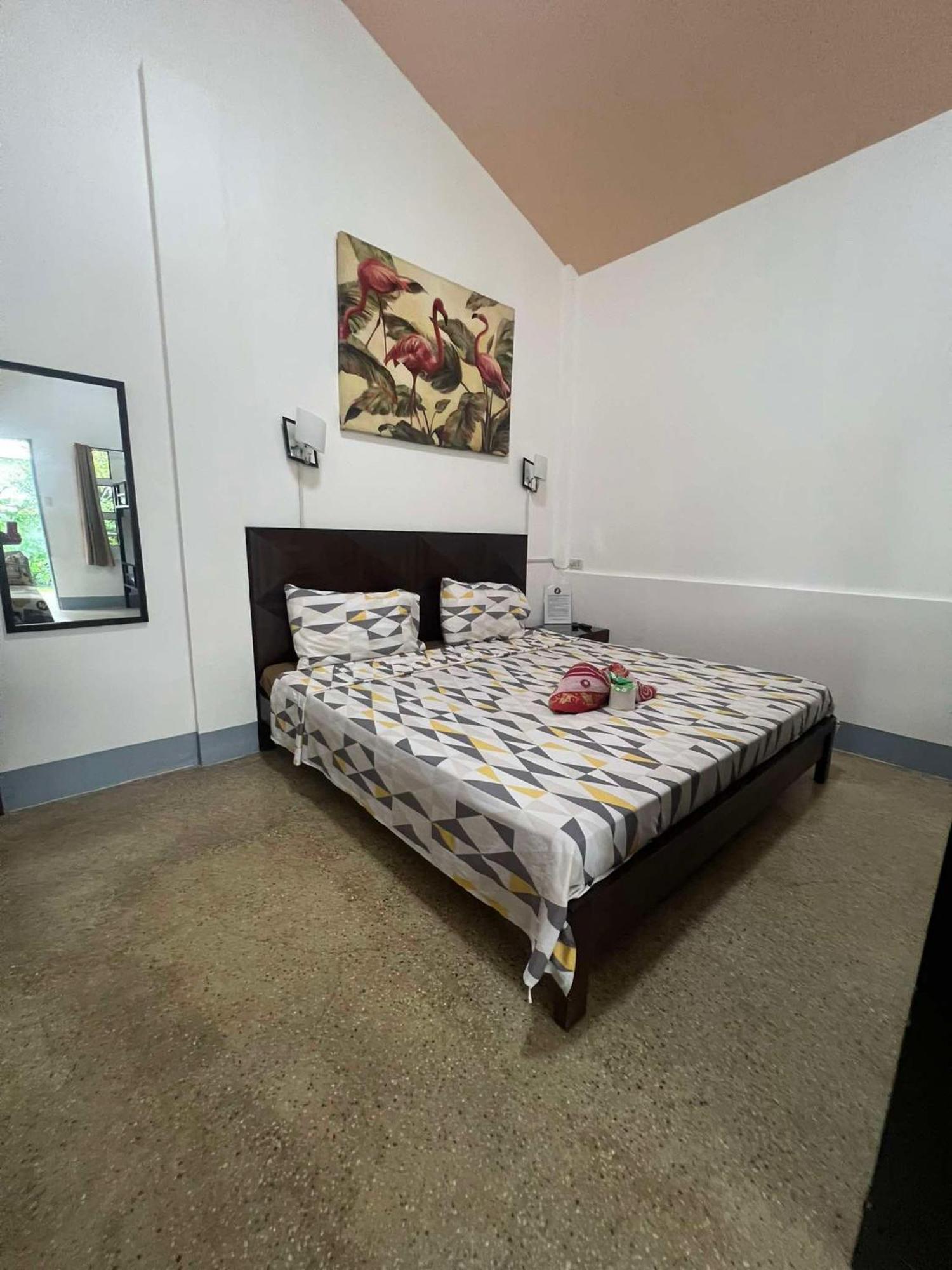 Ice Bear Bar & Tourist Inn Dauis Room photo