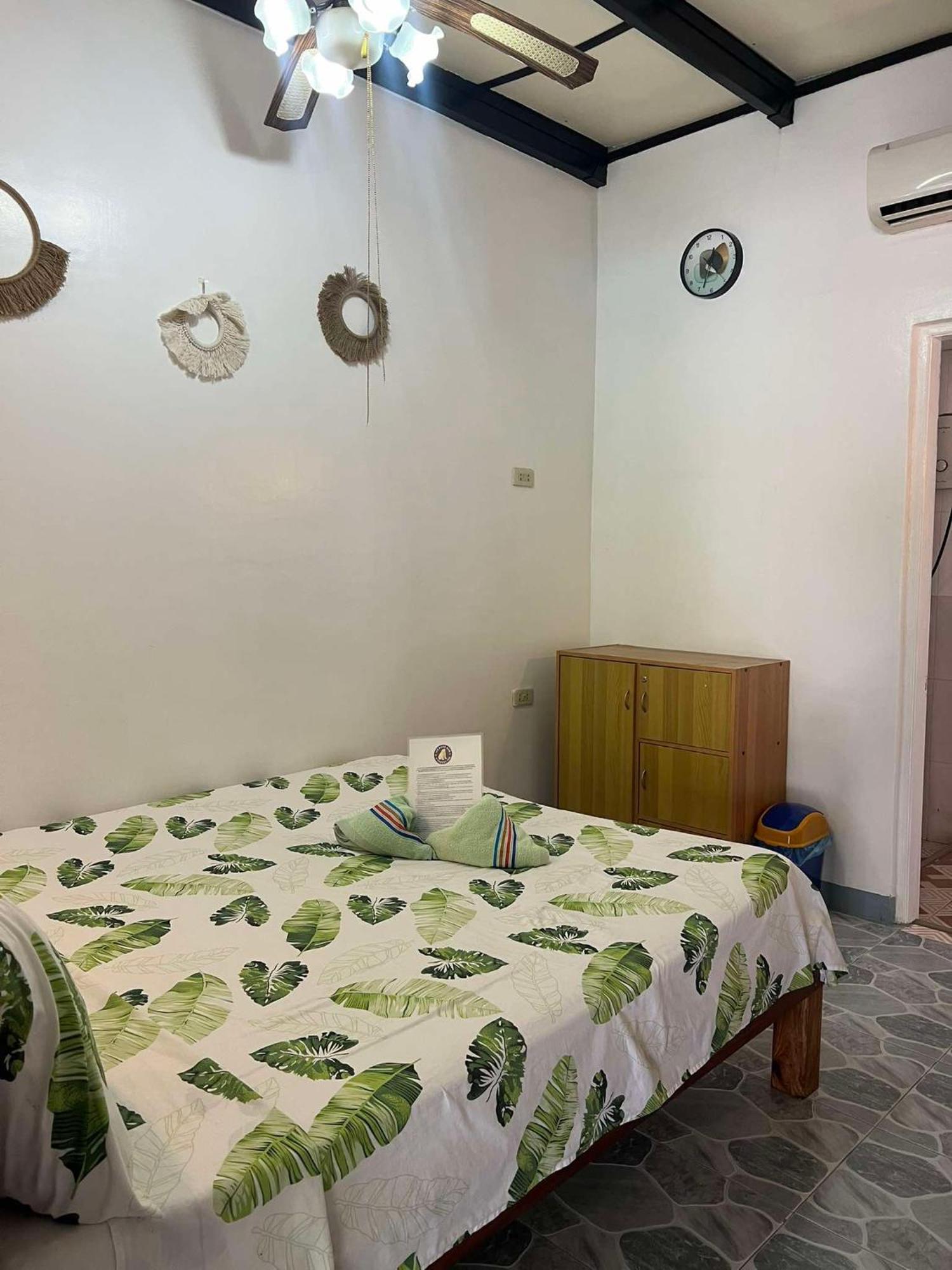 Ice Bear Bar & Tourist Inn Dauis Room photo